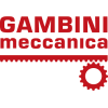 GAMBINI